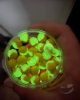 Bait-X Firefly Wafters Ananász-Vajsav10x12mm
