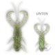 Monkey Lures Craby Lui 7,5cm Sexy Jane 6db/cs