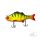 Monkey Lures Purge Glider 175 Inferno Tiger 