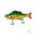 Monkey Lures Purge Glider 175 Perch Scam 